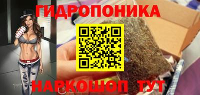 jwh Можга