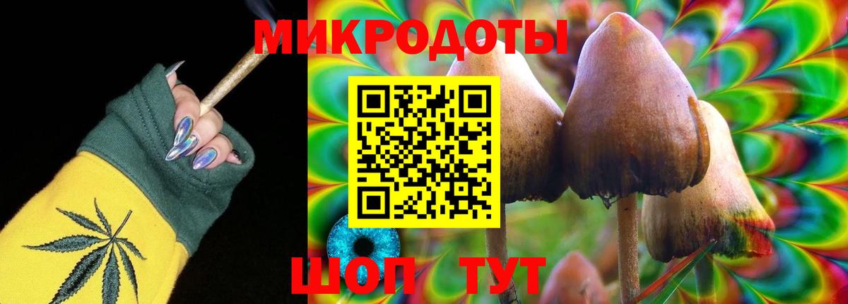 Галлюциногенные грибы мицелий  Вход с VPN  Черняховск 